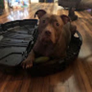 Meet your Posher, Heath